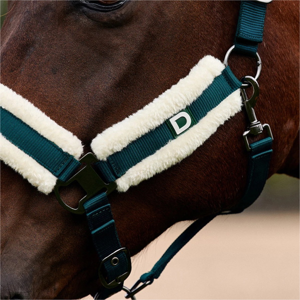 2026 Dublin Soft Fit Headcollar 1031034 - Green